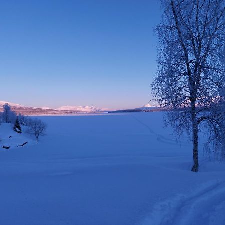 Villmarks gård tømmerstue Hattfjelldal Eksteriør bilde